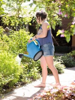 French Blue Watering Can 17 French Blue Watering Can -Plants And Accessories Shop 06341 1341 tif