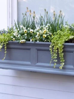 Fairfield Self-Watering Window Box, 3’ -Plants And Accessories Shop 39 344 9360 tif