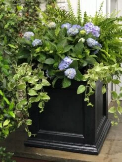 Fairfield Self-Watering Square Planter, 20” X 20” -Plants And Accessories Shop 39 618 205V tif