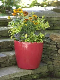 Viva Round Self-Watering Rolling Planter, 17.25” Diameter 11 Viva Round Self-Watering Rolling Planter, 17.25” Diameter -Plants And Accessories Shop 39326 046 tif