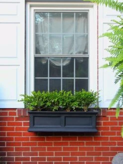 Fairfield Self-Watering Window Box, 3’ -Plants And Accessories Shop 39344 100V tif