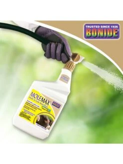 Bonide® MoleMax Spray 5 Bonide® MoleMax Spray -Plants And Accessories Shop 3 4 crop 37 594 01V 3 4