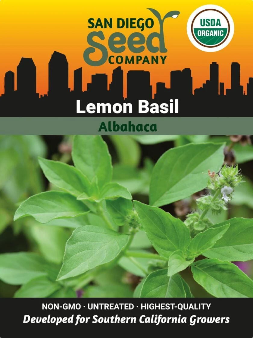 Basil, Lemon Organic Seeds 3 Basil, Lemon Organic Seeds