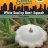 Squash, White Scallop Bush Summer Organic Seeds -Plants And Accessories Shop 3 4 crop 84589 8613564 Squash White Scallop Bush