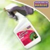 Bonide® Japanese Beetle Killer -Plants And Accessories Shop 3 4 crop 8586927 01V 3 4
