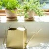 Precision Brass Watering Can 1 Precision Brass Watering Can -Plants And Accessories Shop 3 4 crop 8612812 0076 precision brass watering can