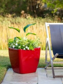 Viva Square Self-Watering Rolling Planter, 20" Diameter, Set Of 2 17 Viva Square Self-Watering Rolling Planter, 20" Diameter, Set Of 2 -Plants And Accessories Shop 3 4 crop 8612930 0035 tif