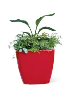 Viva Square Self-Watering Rolling Planter, 20" Diameter, Set Of 2 20 Viva Square Self-Watering Rolling Planter, 20" Diameter, Set Of 2 -Plants And Accessories Shop 3 4 crop 8612930 0037 tif