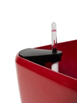 Viva Square Self-Watering Rolling Planter, 20" Diameter, Set Of 2 21 Viva Square Self-Watering Rolling Planter, 20" Diameter, Set Of 2 -Plants And Accessories Shop 3 4 crop 8612930 0107