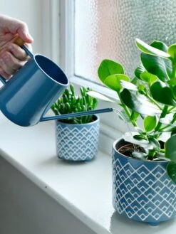 Pinpoint Indoor Watering Can -Plants And Accessories Shop 3 4 crop 8612963 03V tif