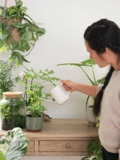 Pinpoint Indoor Watering Can -Plants And Accessories Shop 3 4 crop 8612963 3774