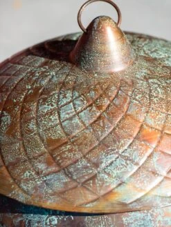 Acorn Hose Pot -Plants And Accessories Shop 3 4 crop 8613361 0045