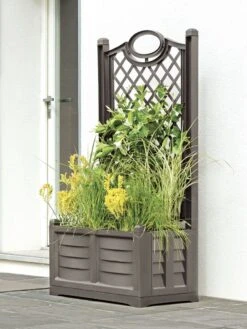 Separate Flower Box With Trellis -Plants And Accessories Shop 3 4 crop 8613626 03V