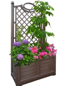 Separate Flower Box With Trellis -Plants And Accessories Shop 3 4 crop 8613626 04V