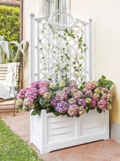 Separate Flower Box With Trellis -Plants And Accessories Shop 3 4 crop 8613626 13V