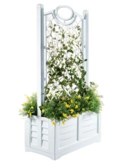 Separate Flower Box With Trellis -Plants And Accessories Shop 3 4 crop 8613626 14V