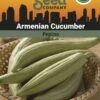 Armenian Cucumber Organic Seeds 1 Armenian Cucumber Organic Seeds -Plants And Accessories Shop 3 4 crop 8613866 81608 Cucumber Armenian SDSC