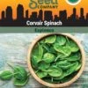 Corvair Spinach Organic Seeds 1 Corvair Spinach Organic Seeds -Plants And Accessories Shop 3 4 crop 8613868 06842 Spinach Corvair SDSC