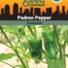 Pepper, Padron Organic Seeds -Plants And Accessories Shop 3 4 crop 87466 8613547 Pepper Padron SDSC