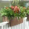 Self-Watering Railing Planter 2 Self-Watering Railing Planter -Plants And Accessories Shop 40145 040 tif