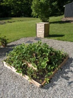3-Tier Strawberry Bed -Plants And Accessories Shop 8586752 2341 tif