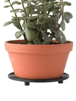 5" SurfaceSaver® , Set Of 2 -Plants And Accessories Shop 8586907 016 tif