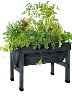 Compact VegTrug® Patio Garden -Plants And Accessories Shop 8586919 001 tif