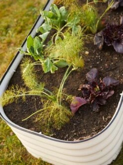 Birdies™ Modular Metal Raised Bed 19 Birdies™ Modular Metal Raised Bed -Plants And Accessories Shop 8586930 6019 tif