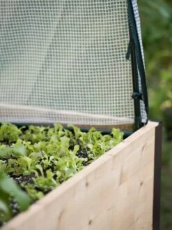 Elevated Planter Box, Frame And 2 Covers Kit, 2' X 8' 10 Elevated Planter Box, Frame And 2 Covers Kit, 2' X 8' -Plants And Accessories Shop 8587631 265 tif