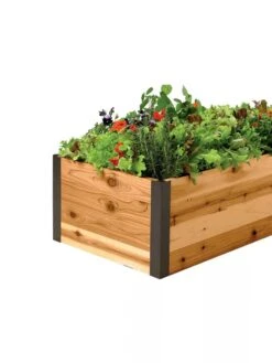 Deep Root Raised Beds, 14" Deep 2' Wide 9 Deep Root Raised Beds, 14" Deep 2' Wide -Plants And Accessories Shop 8587798 001E 1