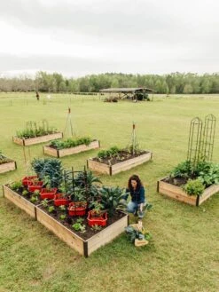 Deep Root Raised Beds, 14" Deep 4' Wide -Plants And Accessories Shop 8587813 505 tif
