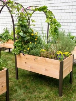 2’ X 4’ Arch Trellis For Planter Boxes -Plants And Accessories Shop 8587823 0490