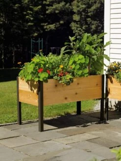 Elevated Planter Box, 2' X 4' -Plants And Accessories Shop 8587823 704 tif