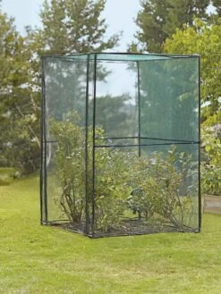 Crop Cage, 4' X 4' -Plants And Accessories Shop 8587832 149 tif