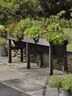 Front Page -Plants And Accessories Shop 8587836CO 001 tif