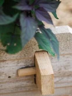 Farmstead Cedar Raised Garden Beds, 2' 16 Farmstead Cedar Raised Garden Beds, 2' -Plants And Accessories Shop 8588144 12V tif