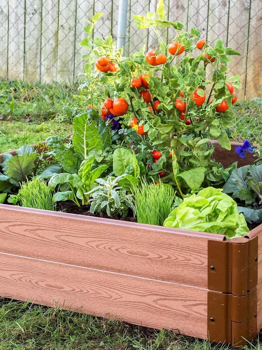 Composite Raised Bed With 1" Boards, 11" 13 Composite Raised Bed With 1" Boards, 11" - Image 11