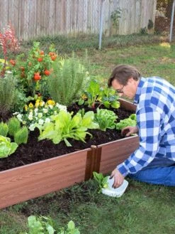 Composite Raised Bed With 1" Boards, 11" 20 Composite Raised Bed With 1" Boards, 11" -Plants And Accessories Shop 8588274 02V tif