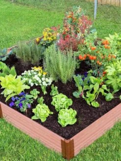 Composite Raised Bed With 1" Boards, 11" 24 Composite Raised Bed With 1" Boards, 11" -Plants And Accessories Shop 8588274 03V tif
