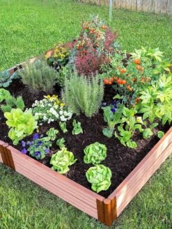 Classic Sienna Composite Raised Bed, 11" High With 2" Board -Plants And Accessories Shop 8588280 05V tif