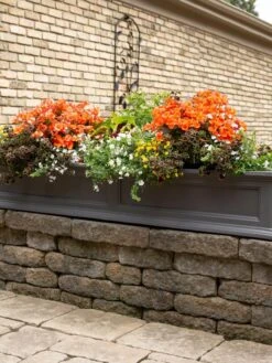 Fairfield Self-Watering Window Box, 5’ 15 Fairfield Self-Watering Window Box, 5’ -Plants And Accessories Shop 8588938 105V tif