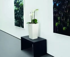 Lechuza® Cubico Color Tall Self-Watering Planters -Plants And Accessories Shop 8589485 03V tif