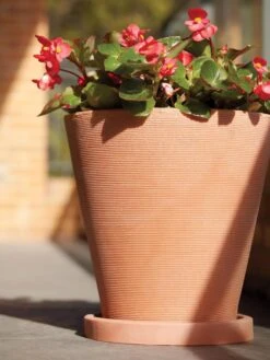 Universal Round Planter Saucers 9 Universal Round Planter Saucers -Plants And Accessories Shop 8589526 001V tif