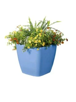 Viva Square Self-Watering Rolling Planter, 14" Diameter 9 Viva Square Self-Watering Rolling Planter, 14" Diameter -Plants And Accessories Shop 8589777BL 6080 tif