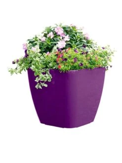 Viva Square Self-Watering Rolling Planter, 17.5" Diameter -Plants And Accessories Shop 8589778PR 6126 tif