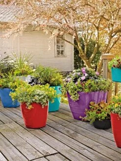 Viva Round Self-Watering Rolling Planter, 14" Diameter 8 Viva Round Self-Watering Rolling Planter, 14" Diameter -Plants And Accessories Shop 8589778 8000 tif 1