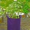 Gardener's Best® Potato Grow Bag -Plants And Accessories Shop 8589785PR 4191 potato grow bags with handles tif