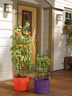 Gardener's Best® Tomato Grow Bag Set -Plants And Accessories Shop 8590013 170 tif