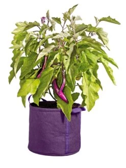 Gardener's Best® Universal Grow Bag -Plants And Accessories Shop 8590024PR 214 tif