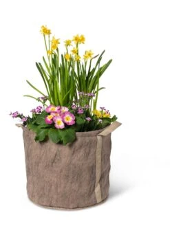 Gardener's Best® Universal Grow Bag -Plants And Accessories Shop 8590024 7307 tif